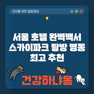 서울 Hotel Skypark Myeongdong II
