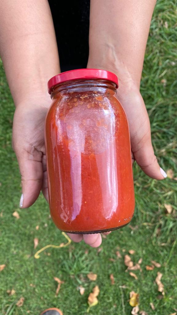 Comprar Pulpa de tomate 500g orgánico