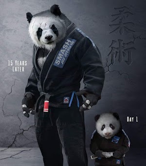 Panda Digital Art Picture