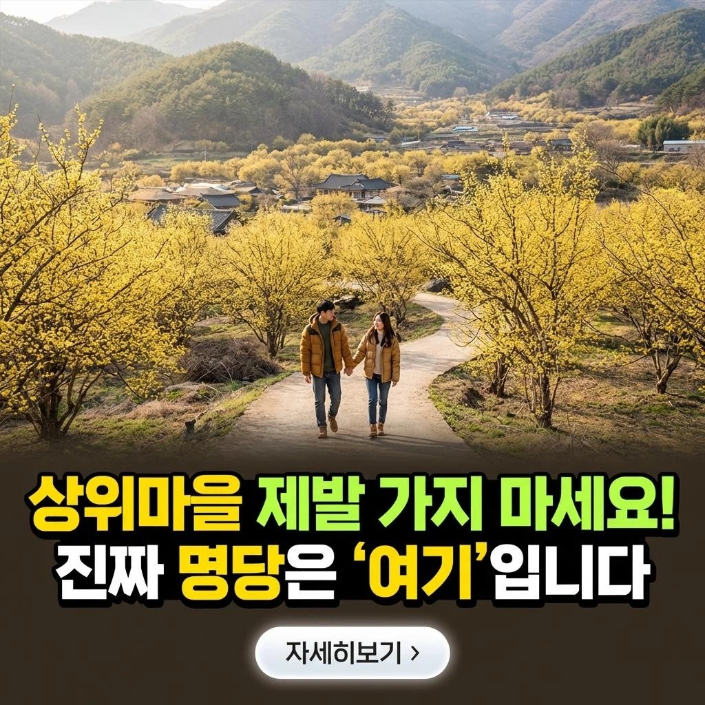 2026 구례 산수유 축제 일정·주차·코스 완벽 가이드