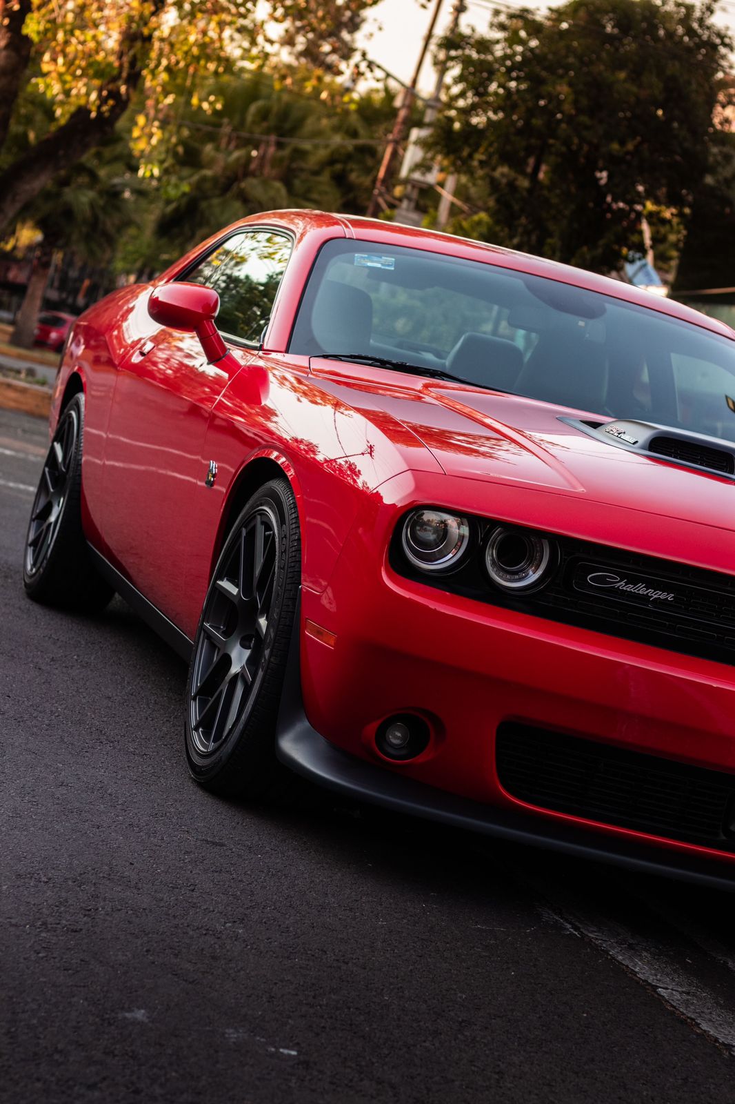 Dodge Challenger · PPF 5
