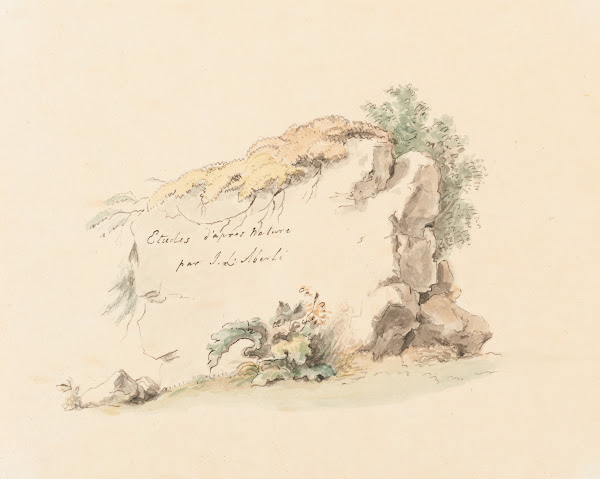 Etudes dapres nature par JL Aberli