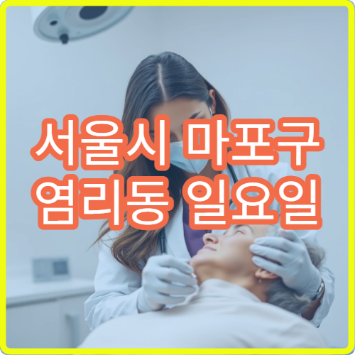 서울시 마포구 염리동 일요일 내과 위통 소화불량 진료