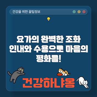 요가 인내, 요가 수용, 요가: 인내와 수용, 요가 인내 수용, 요가, 요가 인내란