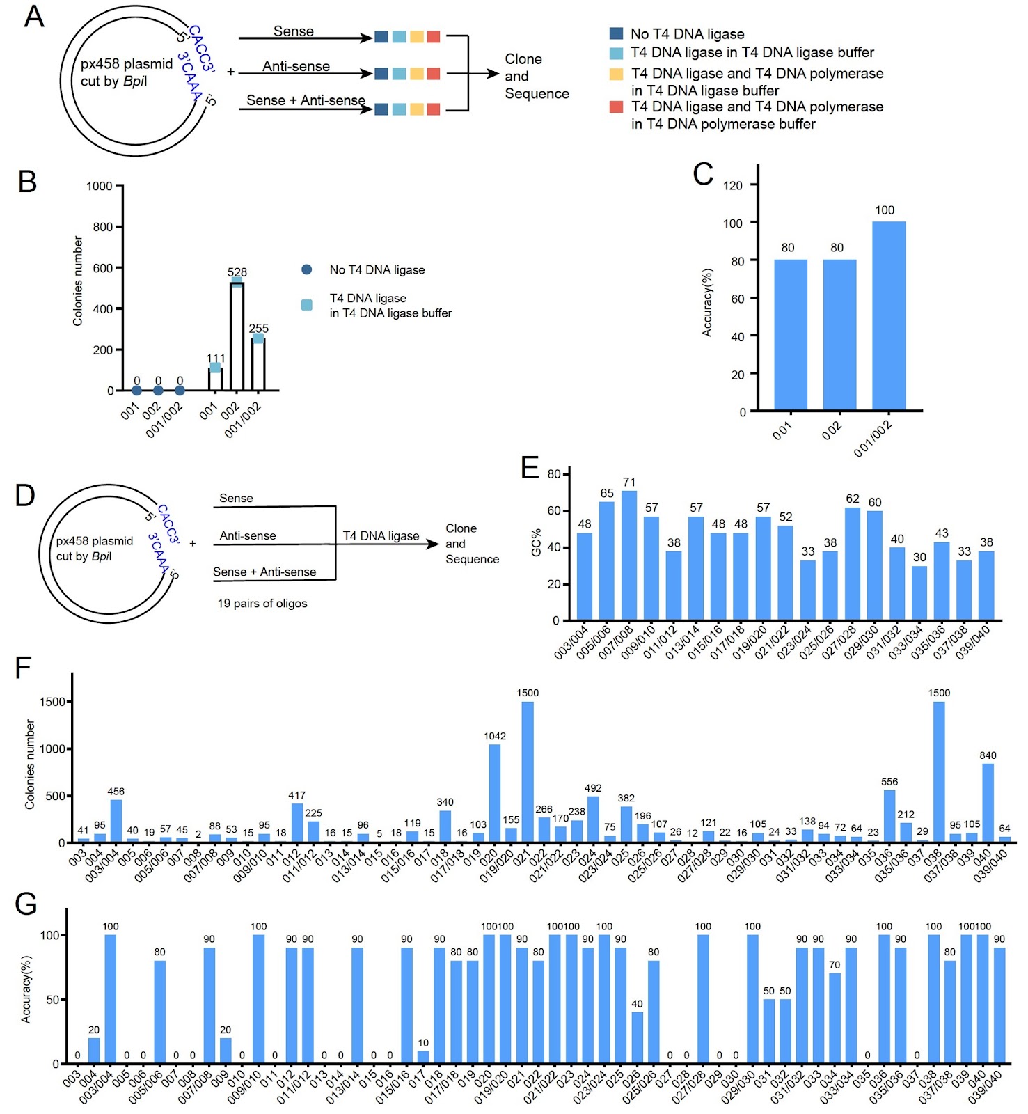 A PCR-independent, annealing-free cloning method for the insertion of short DNA fragments