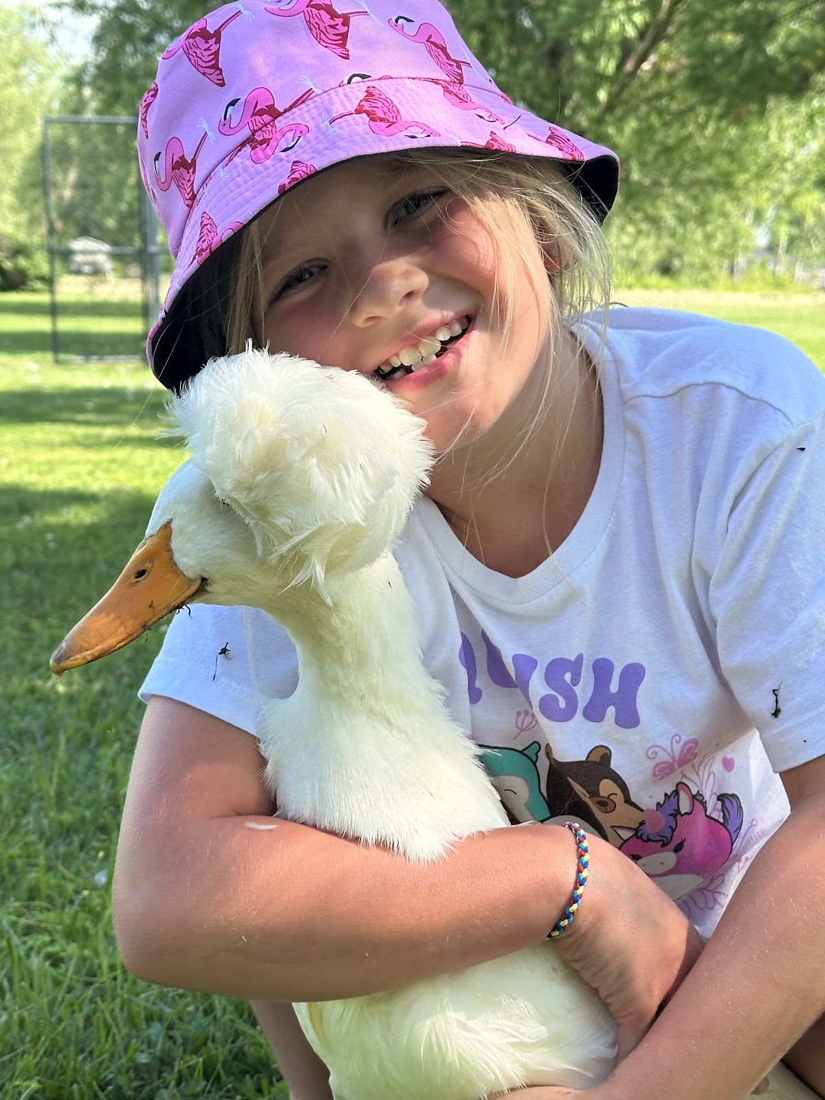 White Crested Duckling