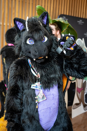 furdu-03685.jpg