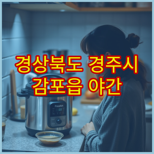 경상북도 경주시 감포읍 야간 영업 약국 밤늦게 문 여는 심야 당번약국 안내