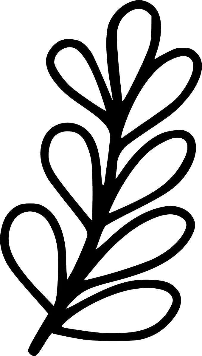 A simple black line art illustration of a vintage-style wildflower sprig, featuring a central stem with six rounded, teardrop-shaped leaves.