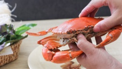Cách chế biến cua: Mua cua loại nguyên con, 1.2kg cua khoảng 2 con vừa, đem về luộc chín 15 phút với nước sôi rồi bóc lấy thịt cua. Với lượng cua này bạn có thể bóc được khoảng 250gr thịt cua. Hoặc để tiết kiệm thời gian bạn cũng có thể mua thịt cua được bóc sẵn bán rất nhiều ngoài hàng quán.