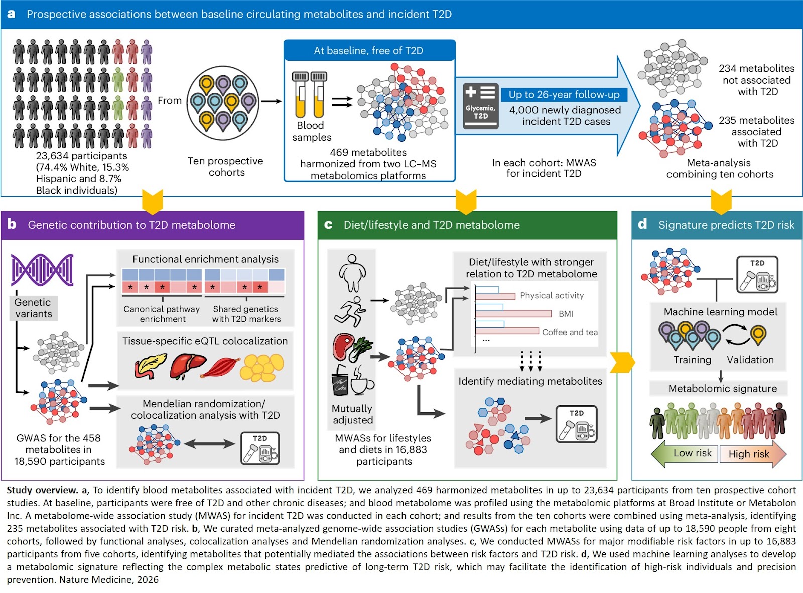 Signature in blood to better predict type 2 diabetes risk