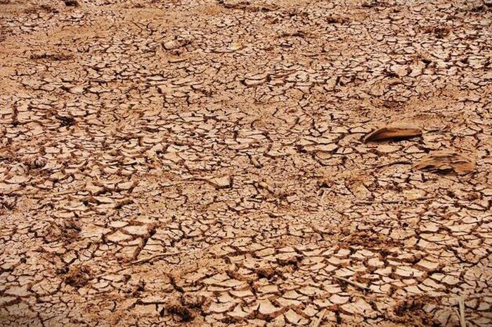 Khả năng xuất hiện El Nino rất mạnh, kéo sang 2027, nguy cơ thiếu hụt nguồn nước từ đầu mùa - Báo VTC News