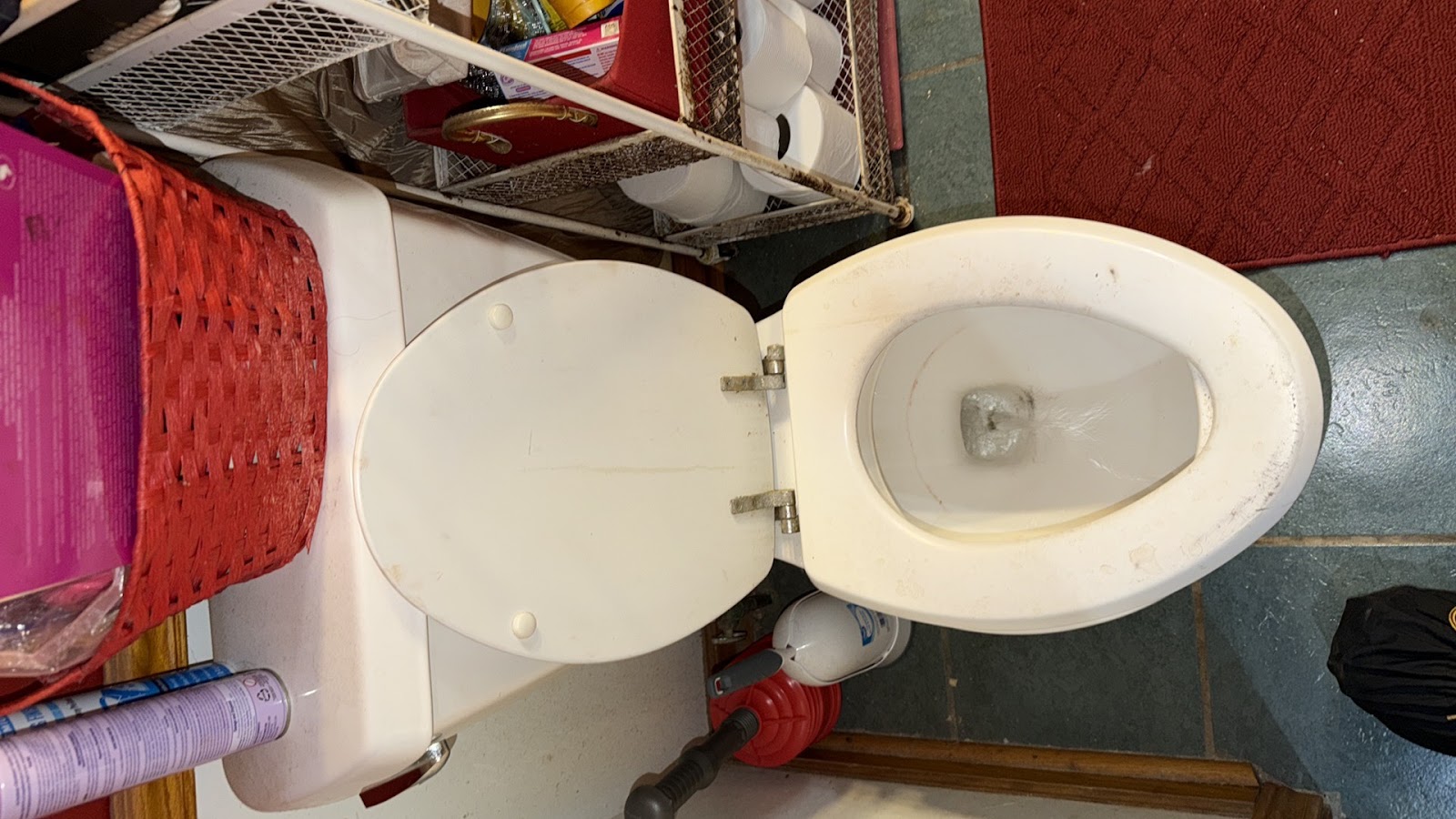 Copy of IMG_2026-03-13_14-07-17_796.jpg