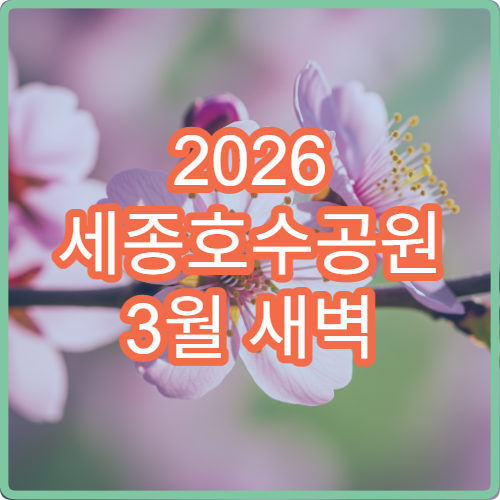 2026 세종호수공원 3월 새벽 벚꽃 산책 조용한 코스 추천