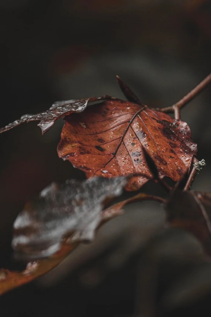 생활비 절약을 위한 예산 짜기와 지출 통제 방법