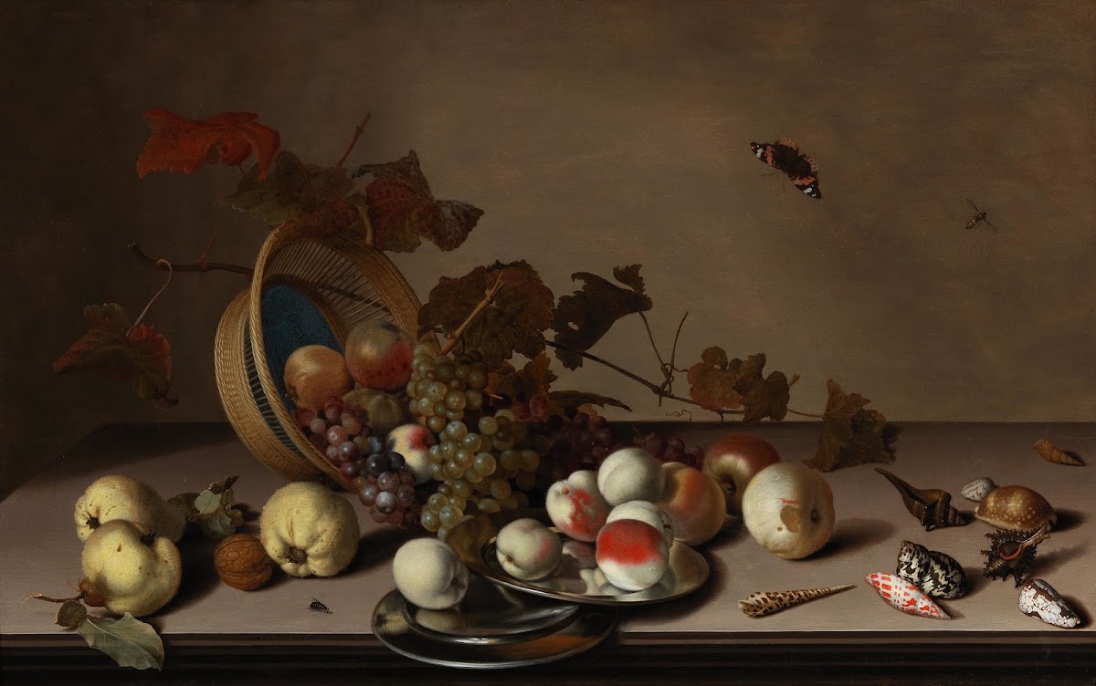 A fruit still life with a wicker basket shells and a butterfly
