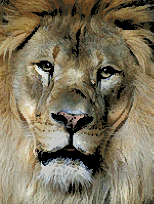 CMP X188 Artecy Lion Face