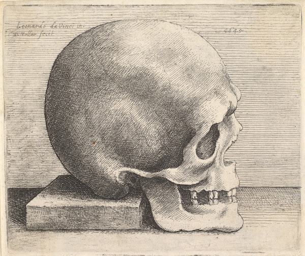 Skull in profile to right 1645