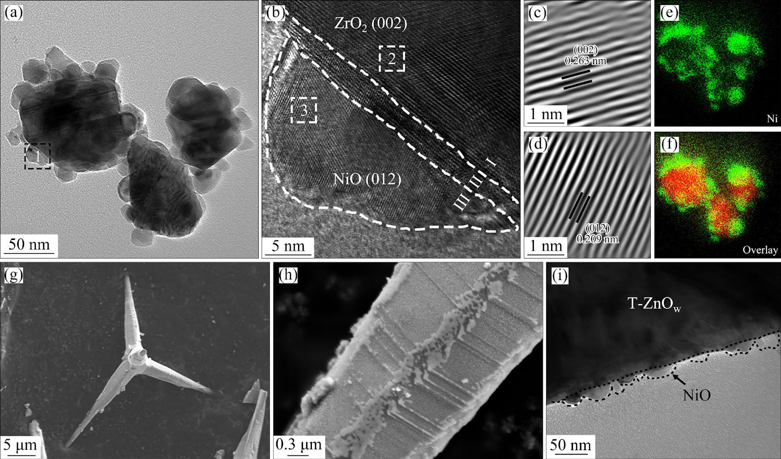 Synergistic enhancement of strength−ductility in Sn1.0Ag0.5Cu composite solder via surface-modified nano-sized ZrO2 and micro-sized T-ZnOw hybrid reinforcements