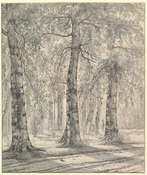 Woodland Scene 1819