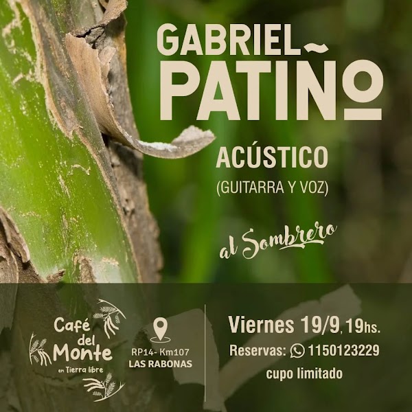 Gabriel Patiño Acústico