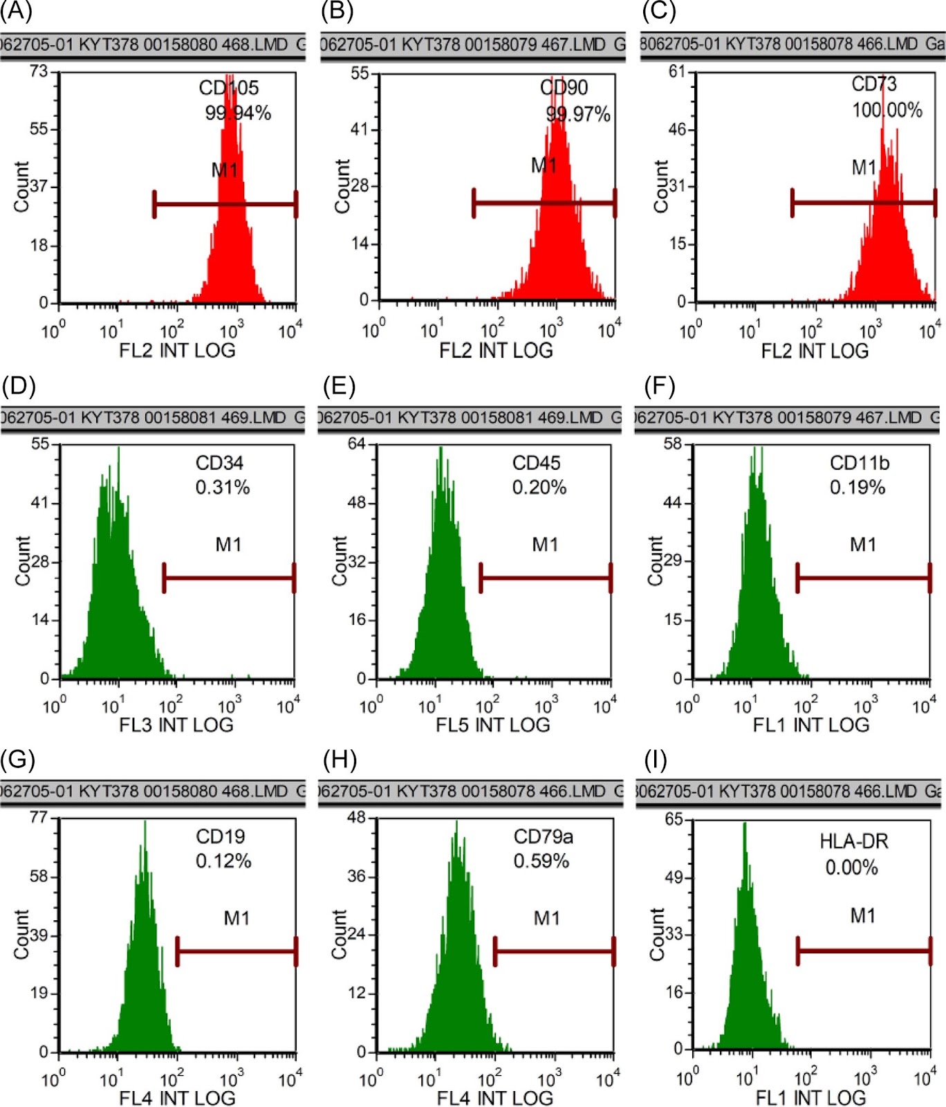 Effects of xenogeneic transplantation of umbilical cord-derived mesenchymal stem cells combined with irbesartan on renal podocyte damage in diabetic rats