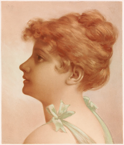 Profile of a woman 18611897