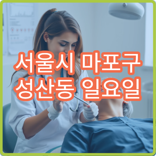서울시 마포구 성산동 일요일 신경외과 목디스크 팔저림 상담