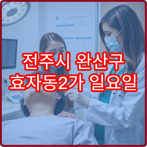 전주시 완산구 효자동2가 일요일 진료 치과 주말 잇몸 통증 진료