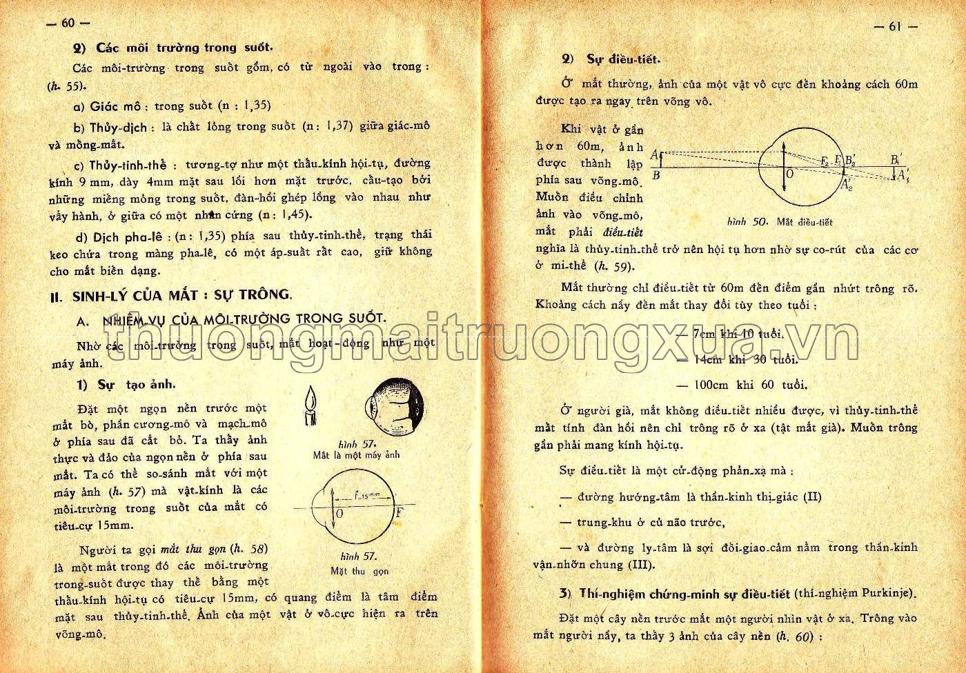 Vạn vật học đệ nhất BCD (1963) - Trang 30