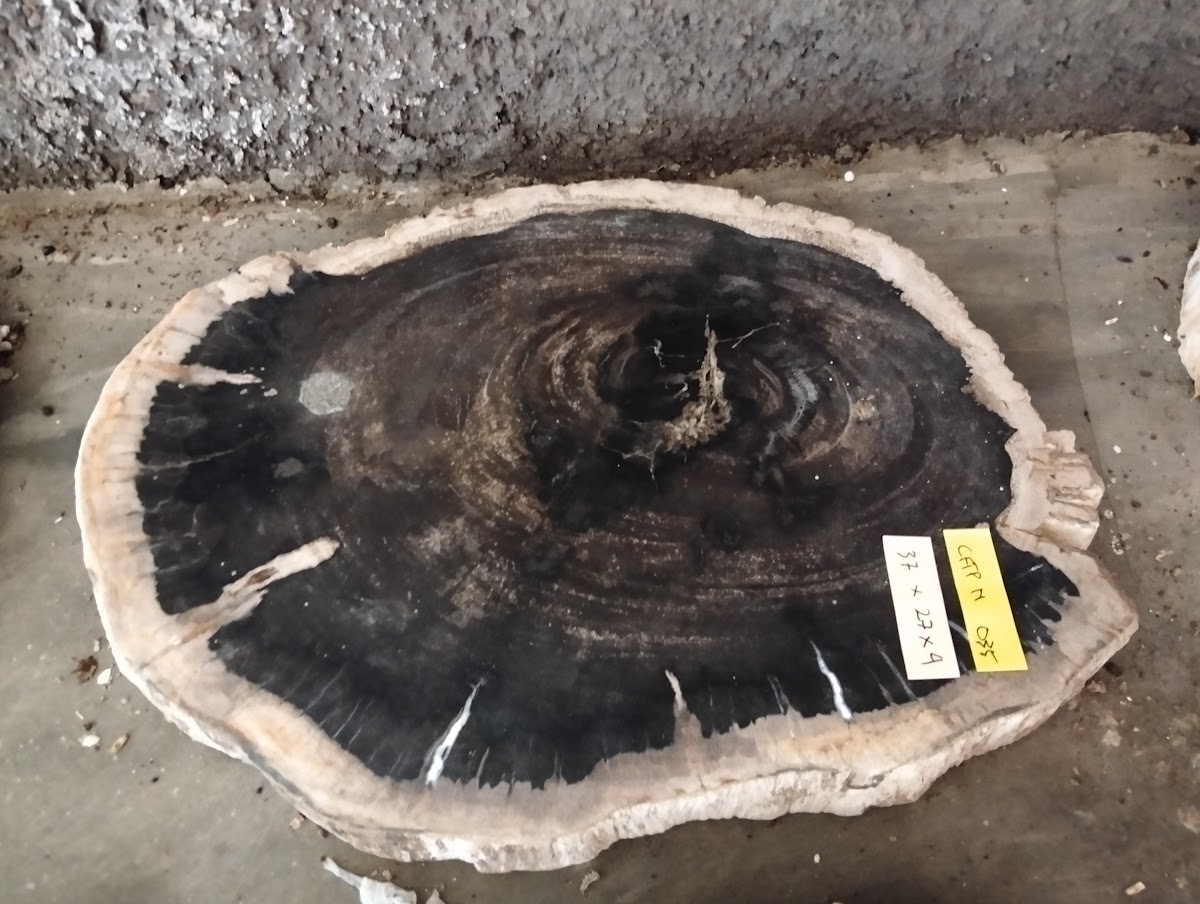 SLICE SIDE TABLE — SKU CFTPN.035 | Petrified Wood by PJ Antique Bali