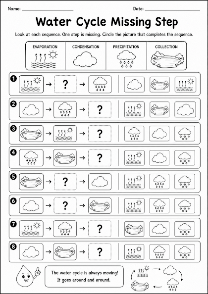 Water Cycle Missing Step
