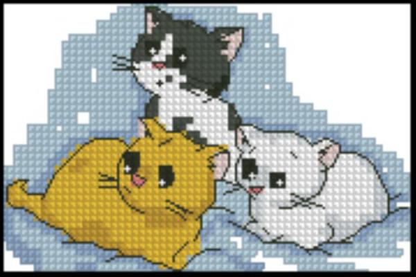 CMP 190120 Kittens