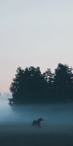 Horse, Fog, Forest, Silhouette, Ethereal 4K iPhone Wallpaper Background