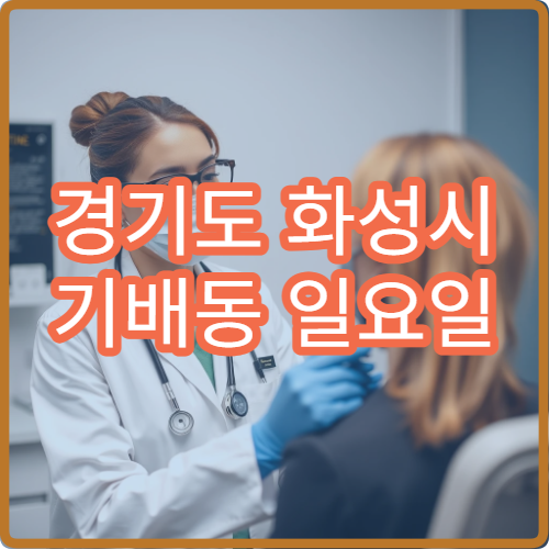 경기도 화성시 기배동 일요일 산부인과 병원 안내 공휴일 산부인과 확인