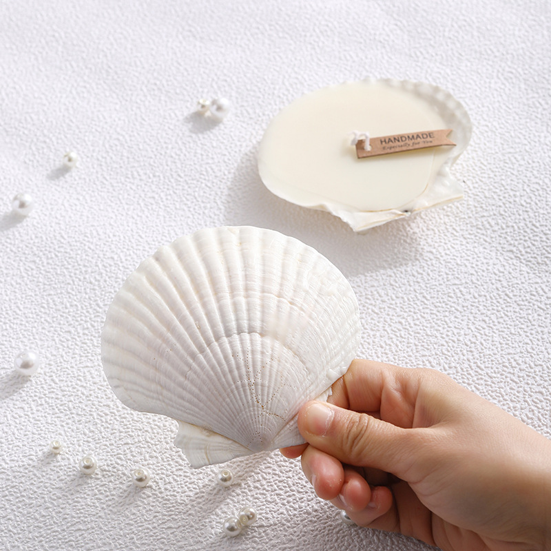 Scented Candle Soy Wax, Shell Shape, Handcrafted