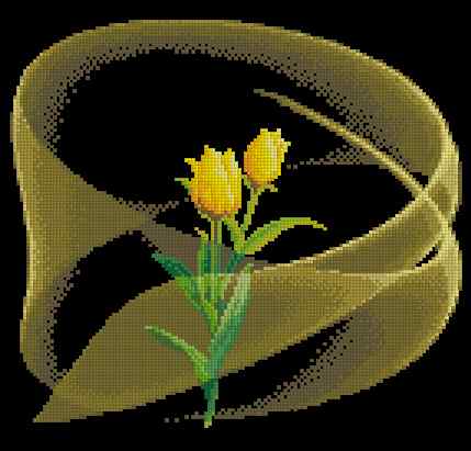 CMP 170208 Yellow Magic