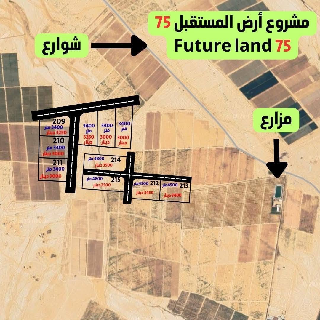 صورة الموقع