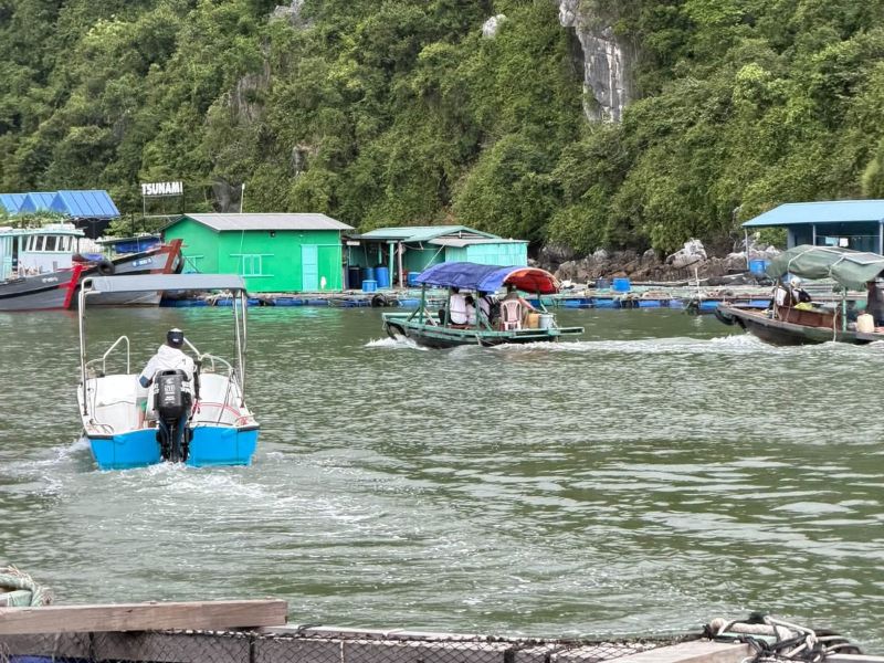 Lang chai cai beo 1