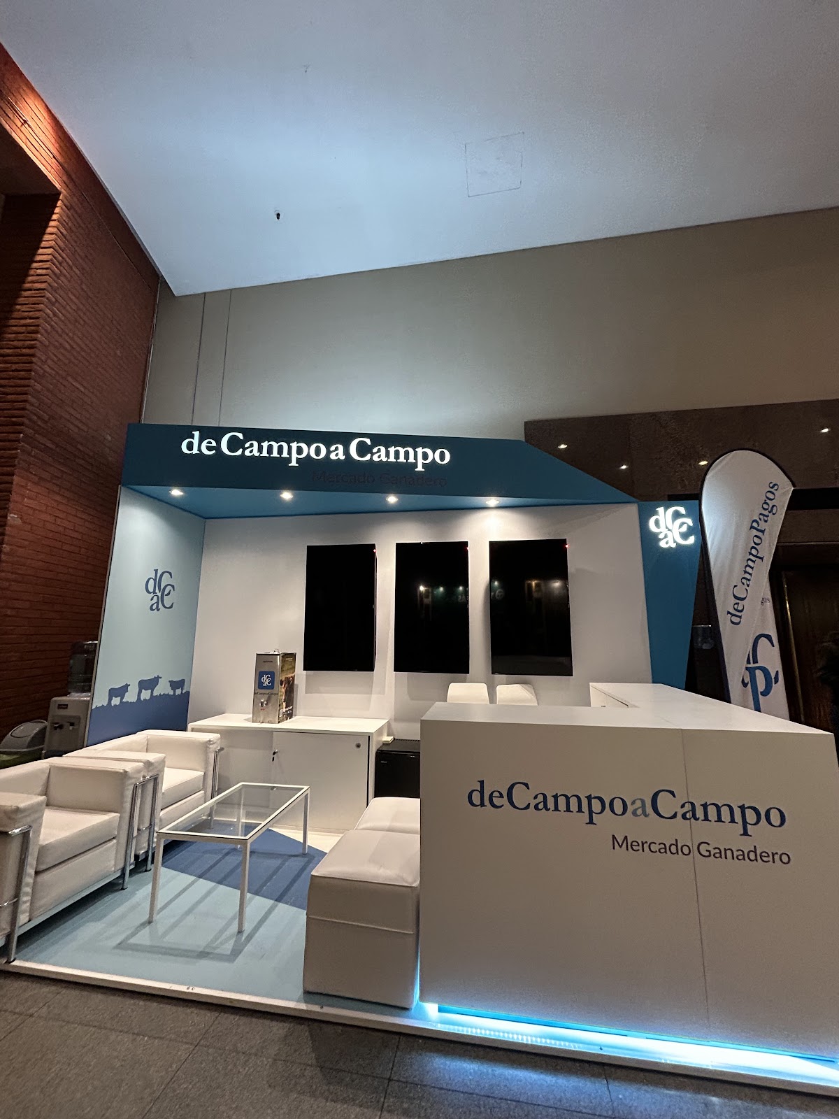 Campo 6