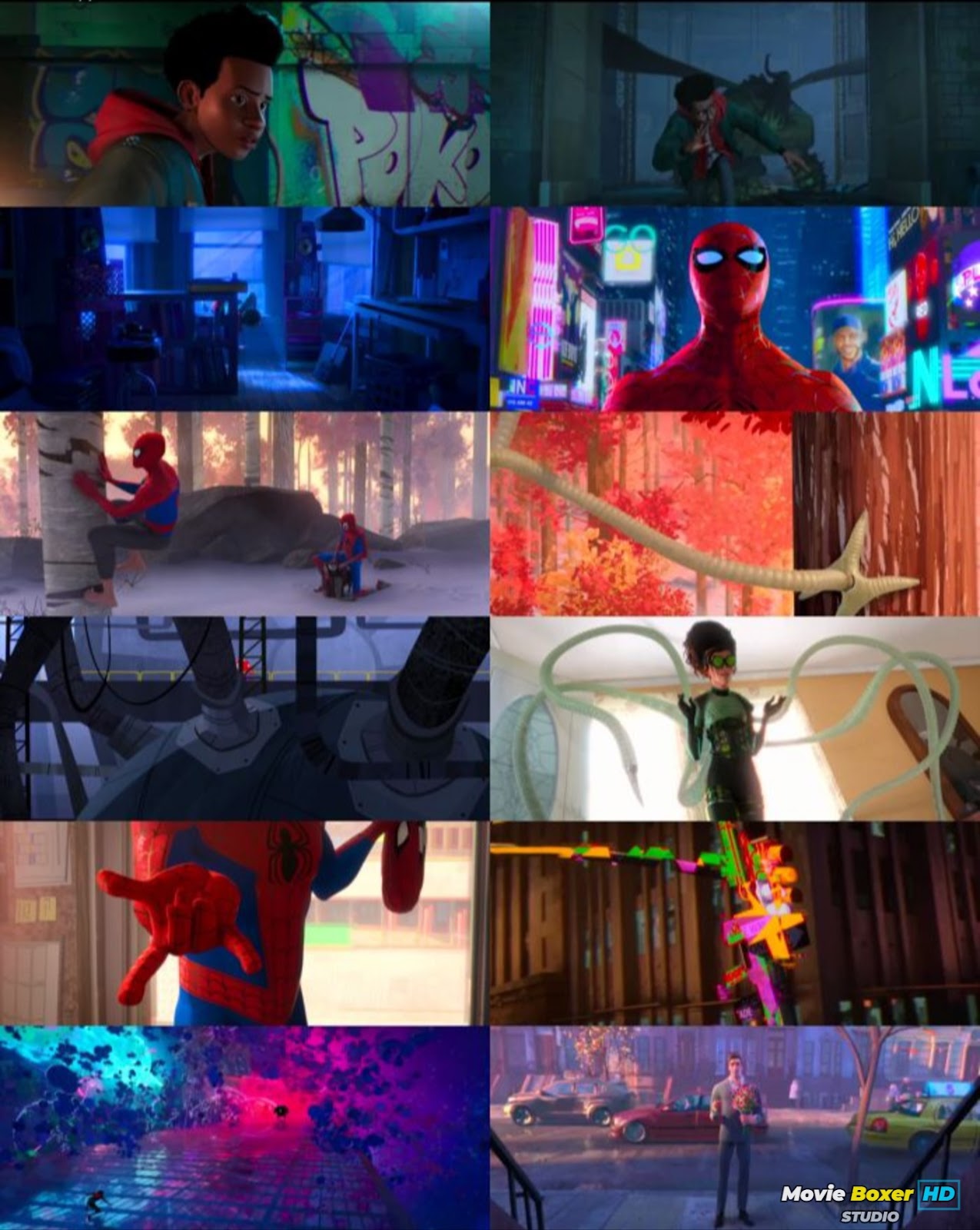 Screenshots Grid