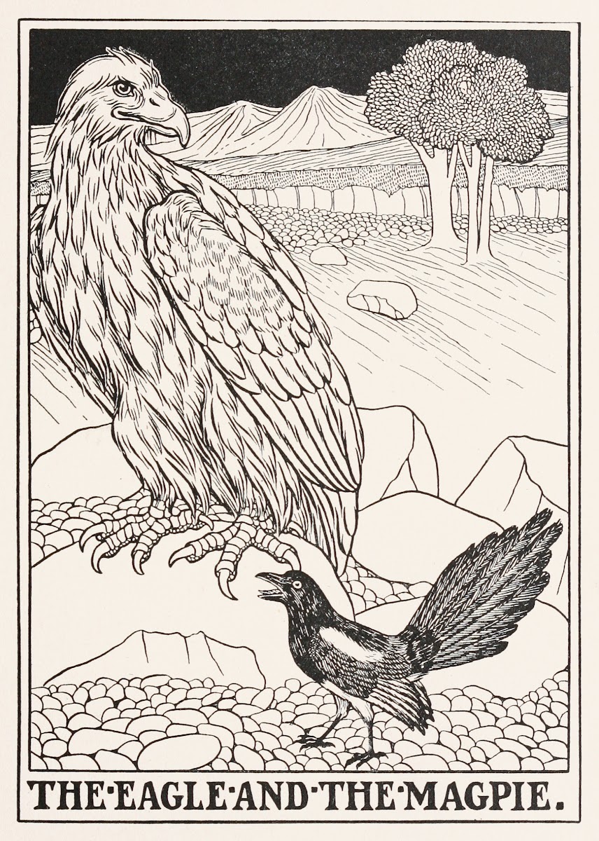 The Eagle and the Magpie 1900