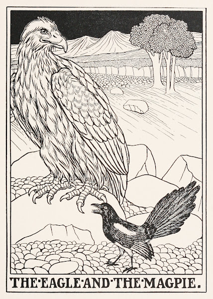 The Eagle and the Magpie 1900