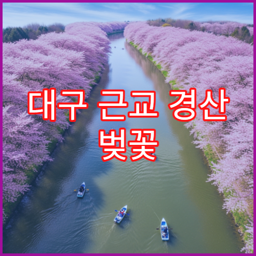 대구 근교 경산 벚꽃 하루 완벽 루트 중앙로+금호강 시간표 완성