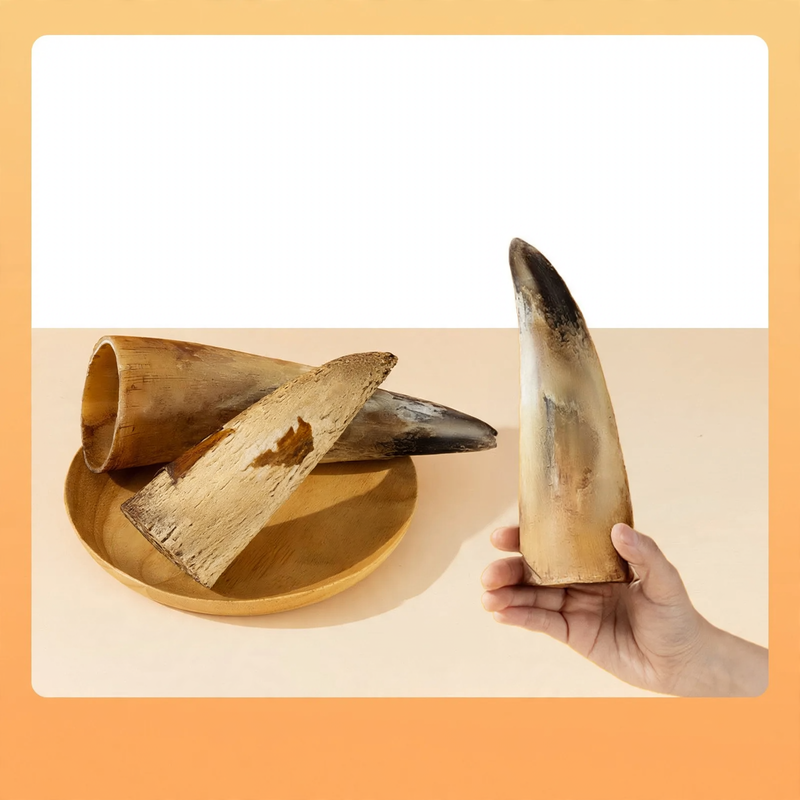 Chew stick with meat and beef bone for dogs
