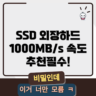 ssd 외장케이스 가격, NVMe 외장하드, 인네트워크 SSD, 2023 외장스토리지, USB 3.1 속도