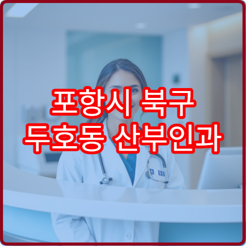 포항시 북구 두호동 산부인과 설날 연휴 응급진료 병원 정보