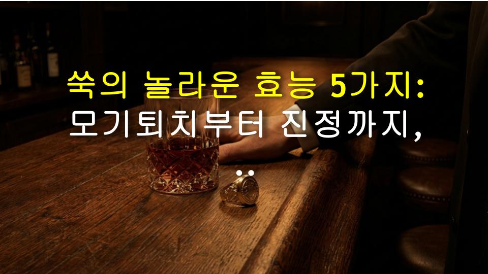쑥의 놀라운 효능 5가지: 모기퇴치부터 진정까지, 집에서 바로 활용하는 방법