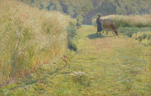 Summer 1893