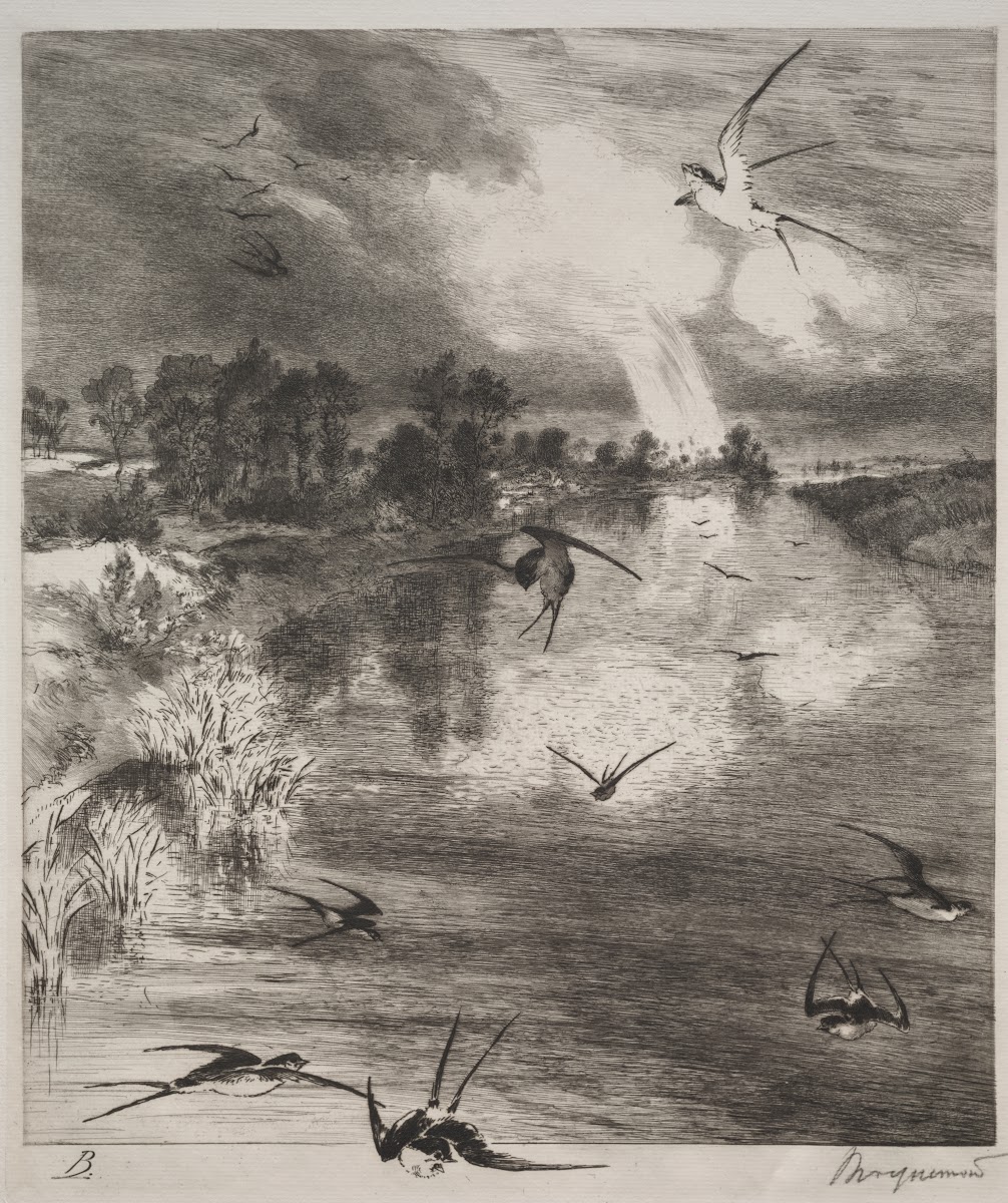 Swallows 1882